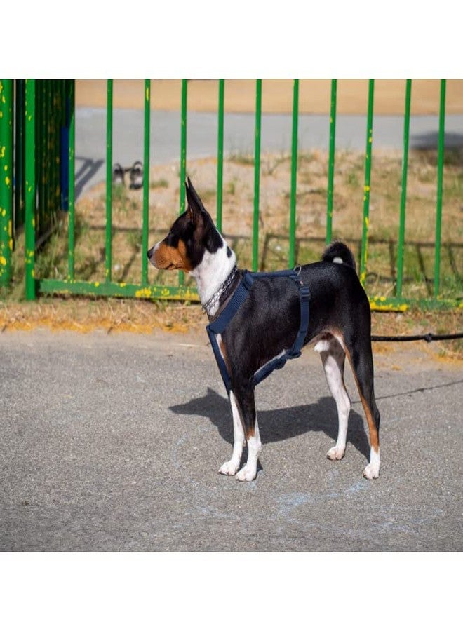 Trixie Premium H-Harness Belt for Dogs, Stylish Design, Adjustable Webbing Tape, Strain Relief, Lightweight & Adjustable Straps (S-M, Indigo) - Image 4